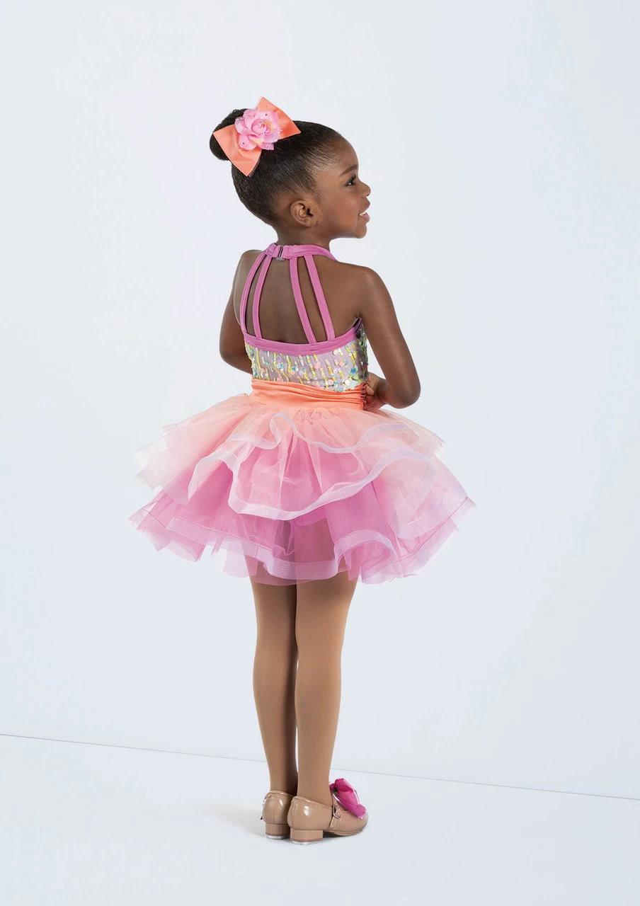 Weissman Shake My Sillies Out 3 Weissman Shake My Sillies Out