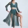 Weissman Phoenix -Dance Costume Store wn15694 pine 5325 84054.1694045761